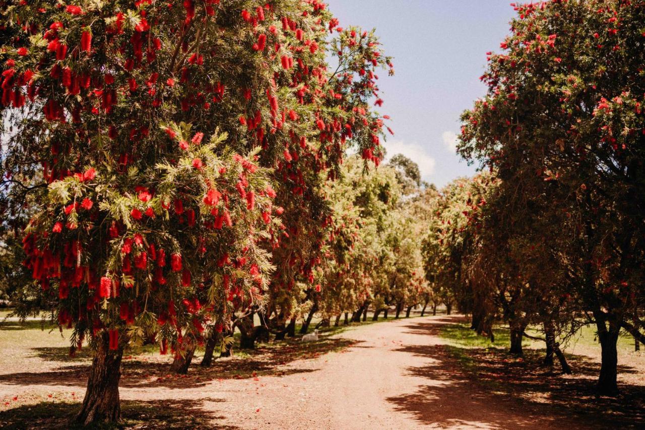 Margaret River Holiday Cottages Exterior photo